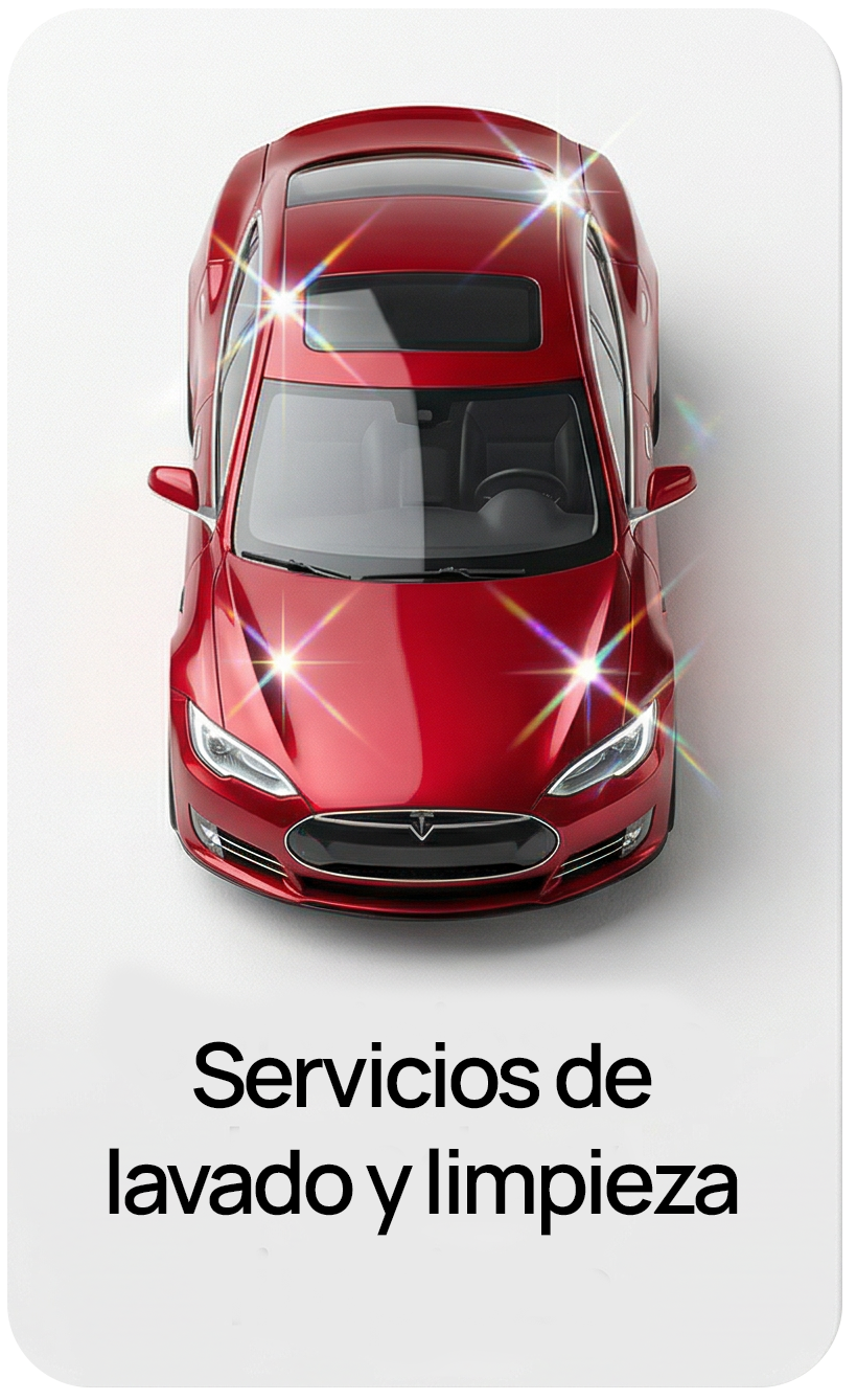 Servicios de lavado y limpieza