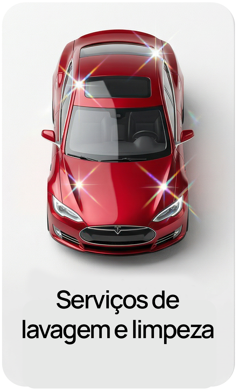 Serviços de lavagem e limpeza