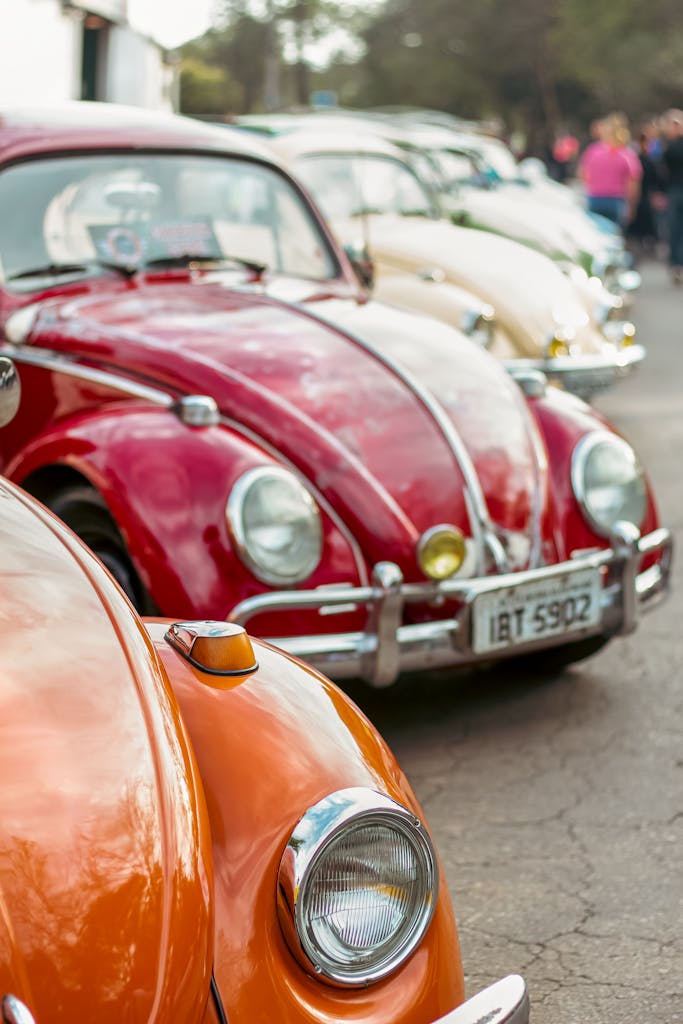 Lineup of vintage Volkswagen Beetles on display at an outdoor car show in Campo Bom, Brazil.