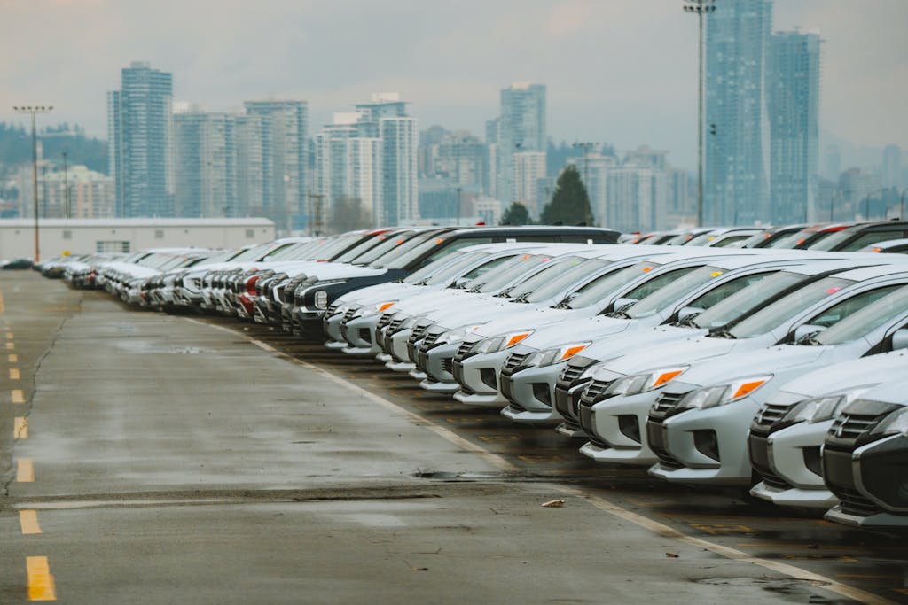 Imagen actual: White cars lined up in a parking lot with a city skyline backdrop.
